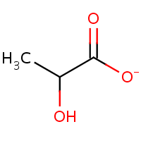 Lactate