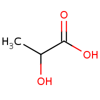 Lactic Acid