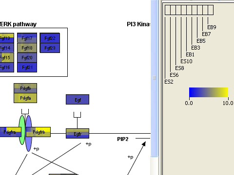 visualization_closeup